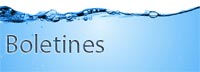 Boletines